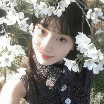 芭拉芭拉樱之花